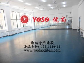 專業(yè)舞蹈塑膠地板 保護(hù)、減震、排壓與批發(fā)的全方位解析